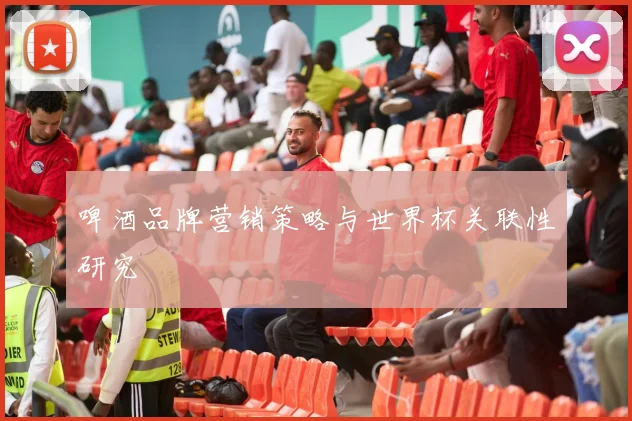 啤酒品牌营销策略与世界杯关联性研究