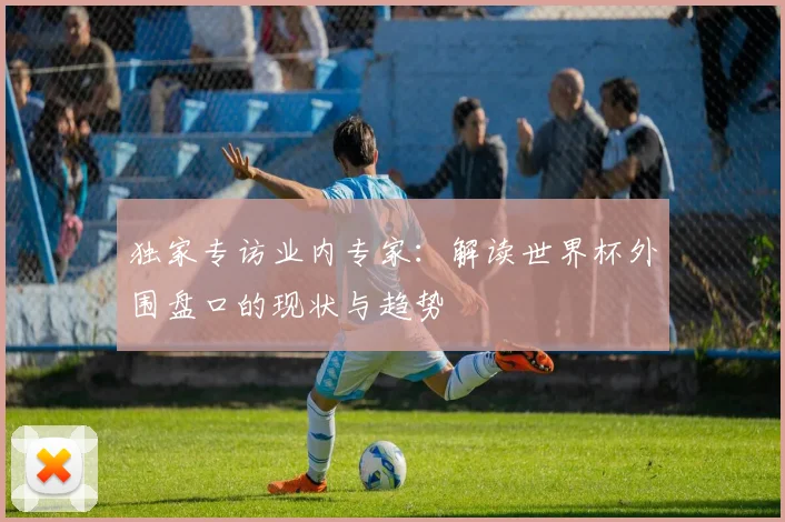 独家专访业内专家：解读世界杯外围盘口的现状与趋势